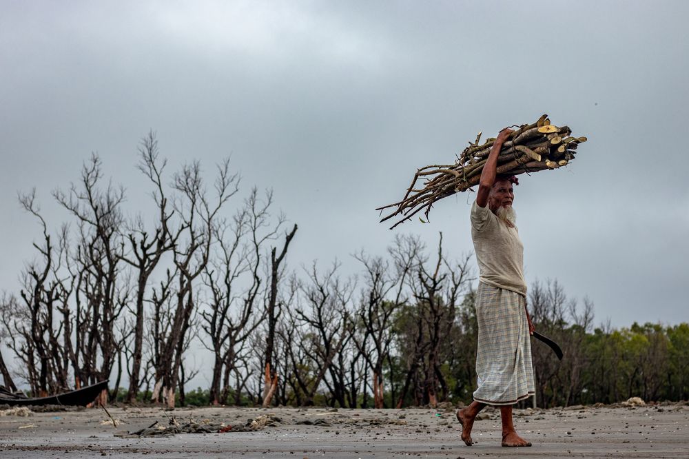 Photograph by Rahat Bin Mustafiz Rahat