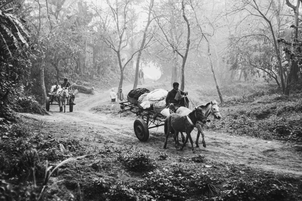 Photograph by Rahat Bin Mustafiz Rahat