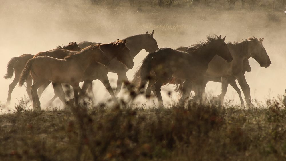 Photograph by Анжела