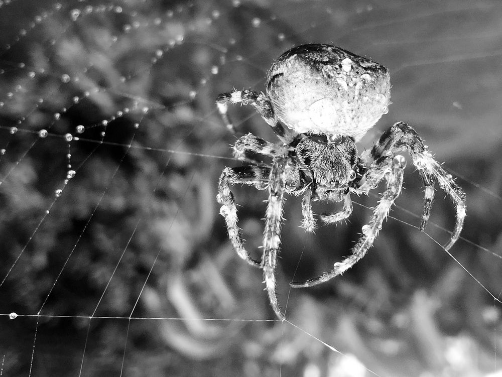 Photograph by Сергей Жигульский