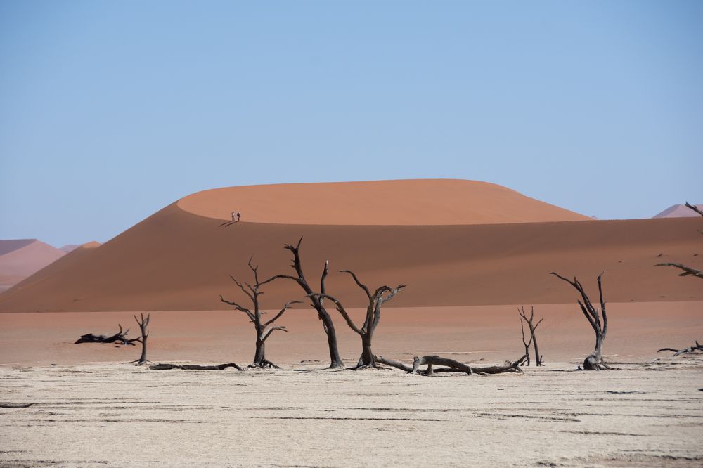 Photograph by Jeff Torroja