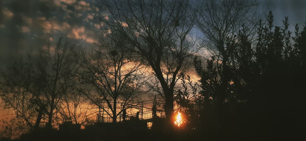 Photograph by Sajad jafarii