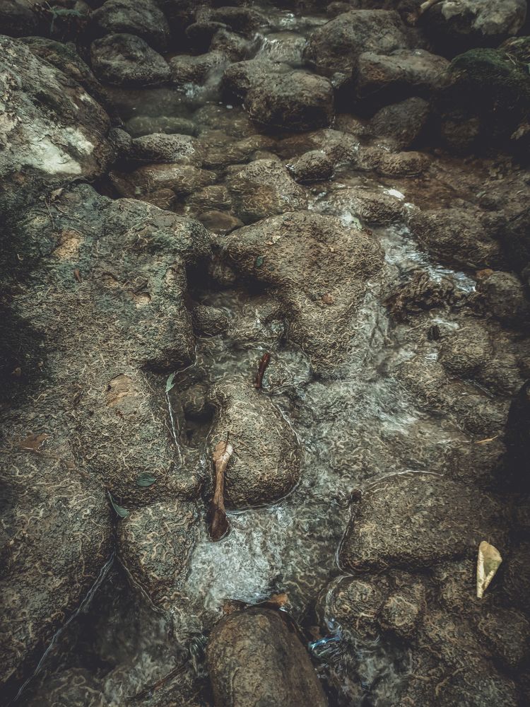 Photograph by Сервер Халилов