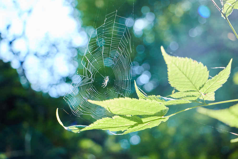 Photograph by Наталия Кирсанова