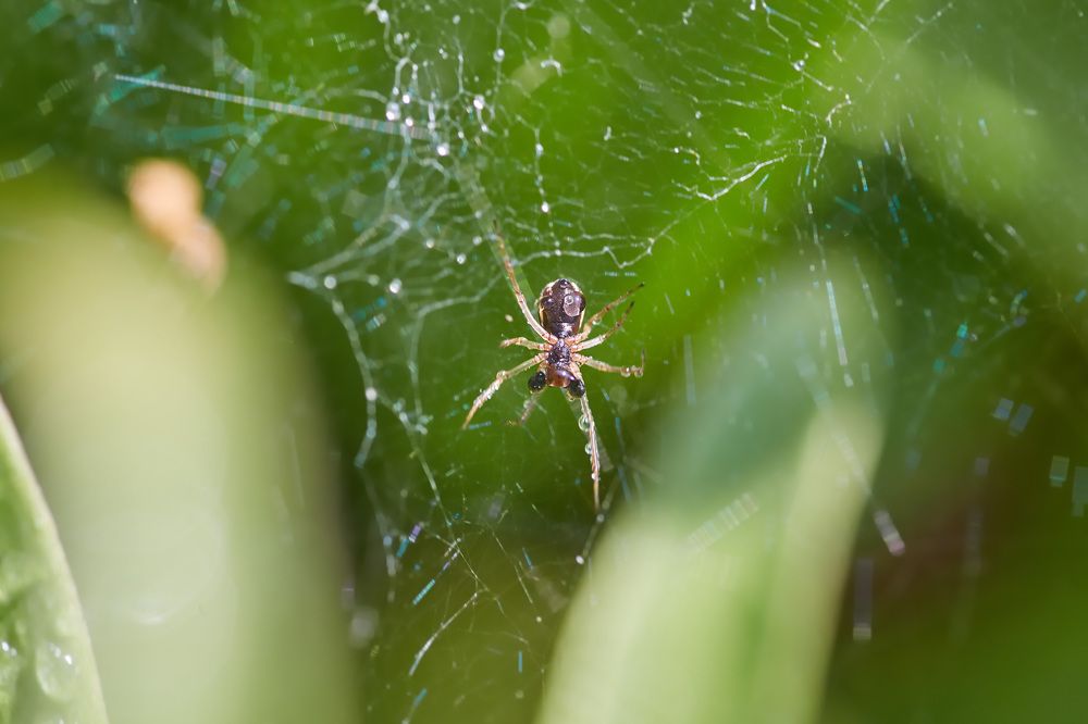 Photograph by Наталия Кирсанова