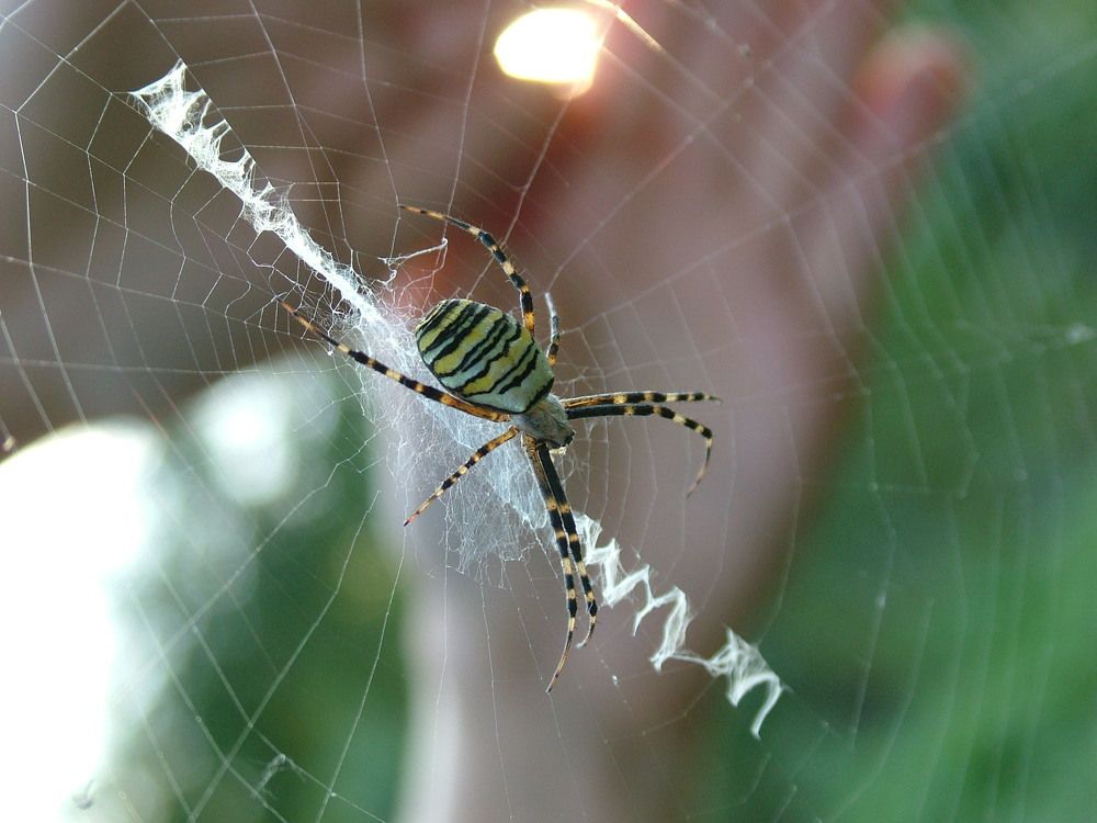 Photograph by Наталия Кирсанова