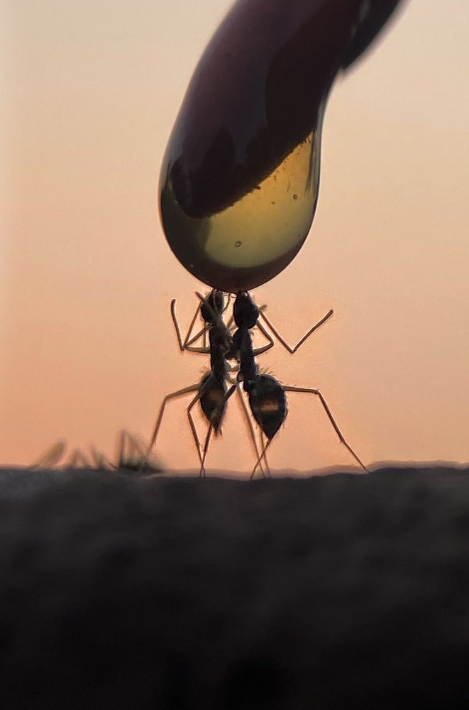 Photograph by Ekra Tasfia