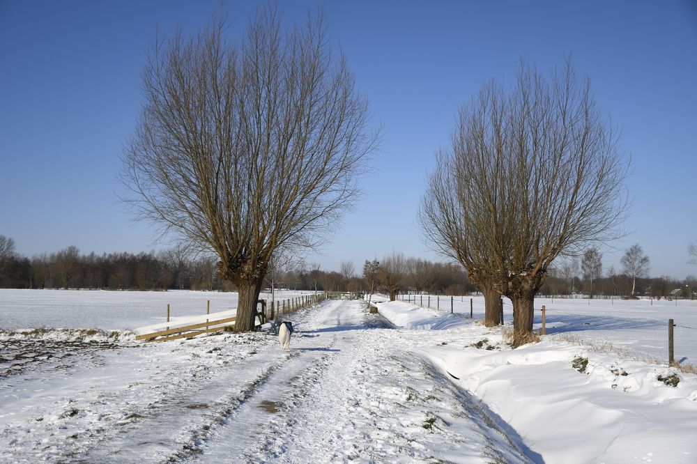 Photograph by Anja Jansen