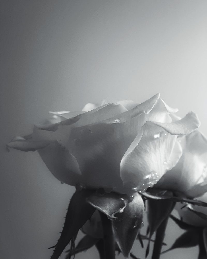 Фотография автора Olga Kunakova