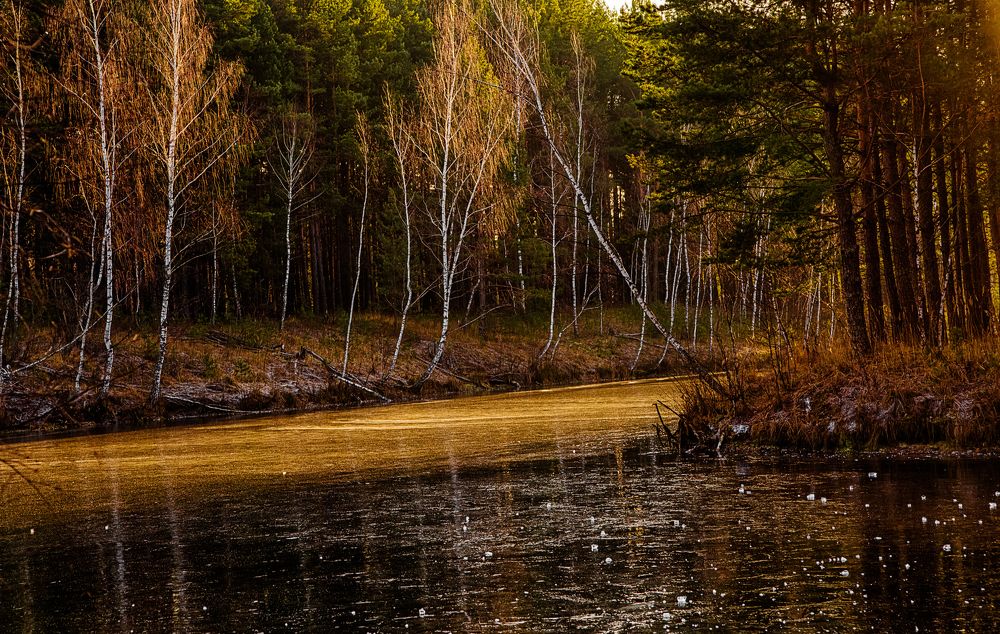 Photograph by Sodomelle Flavian