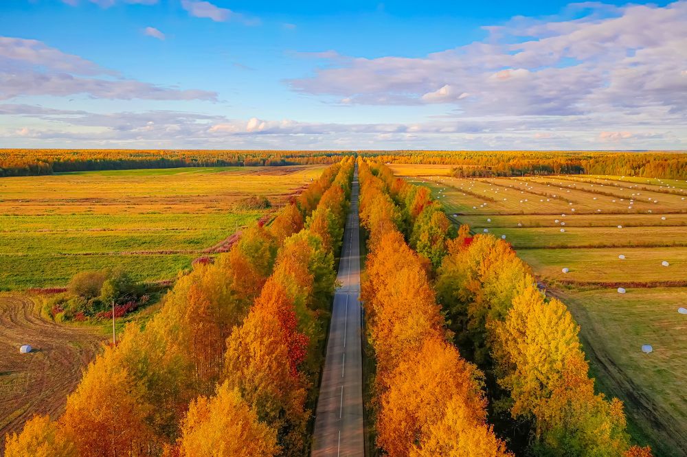 Photograph by Денис Гончаренко