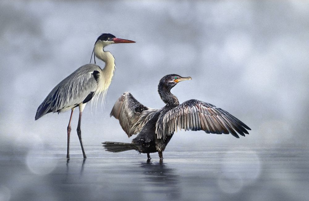 Photograph by Eduardo Modolo