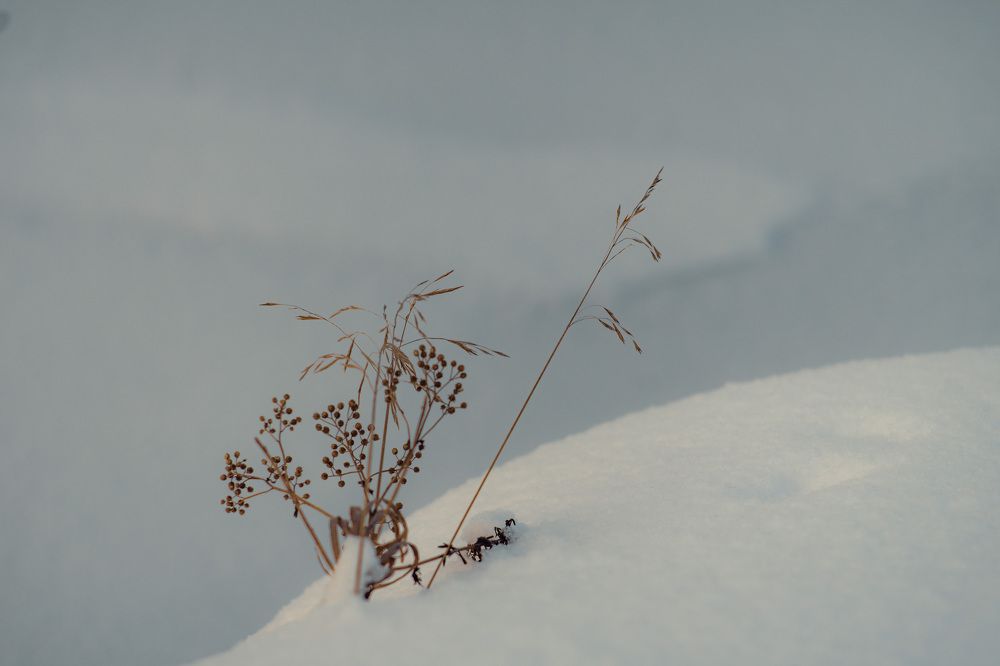 Photograph by Сергей Забиякин