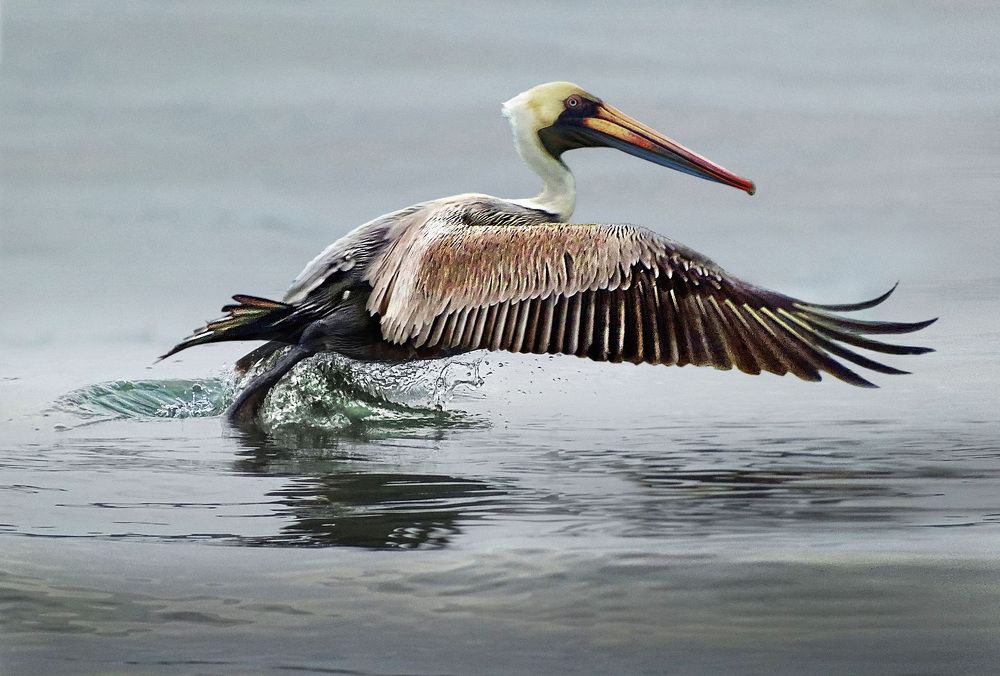 Photograph by Eduardo Modolo