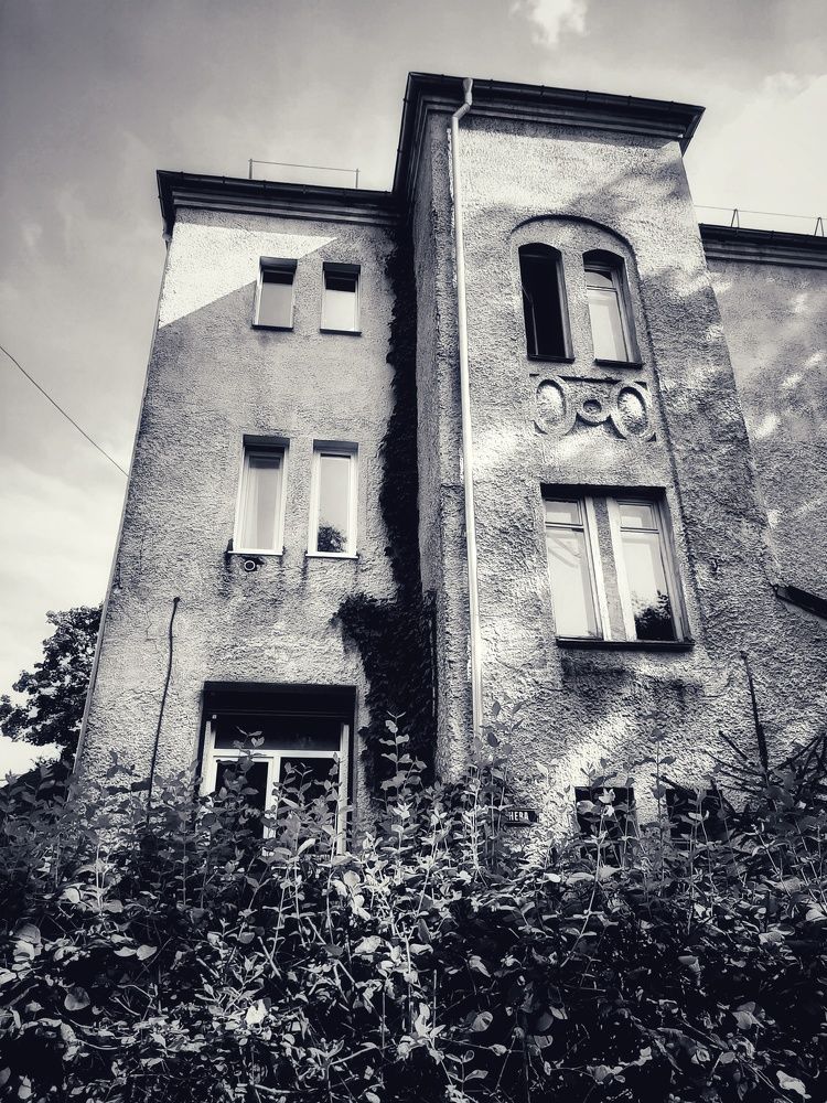 Photograph by Погоняева Анастасия