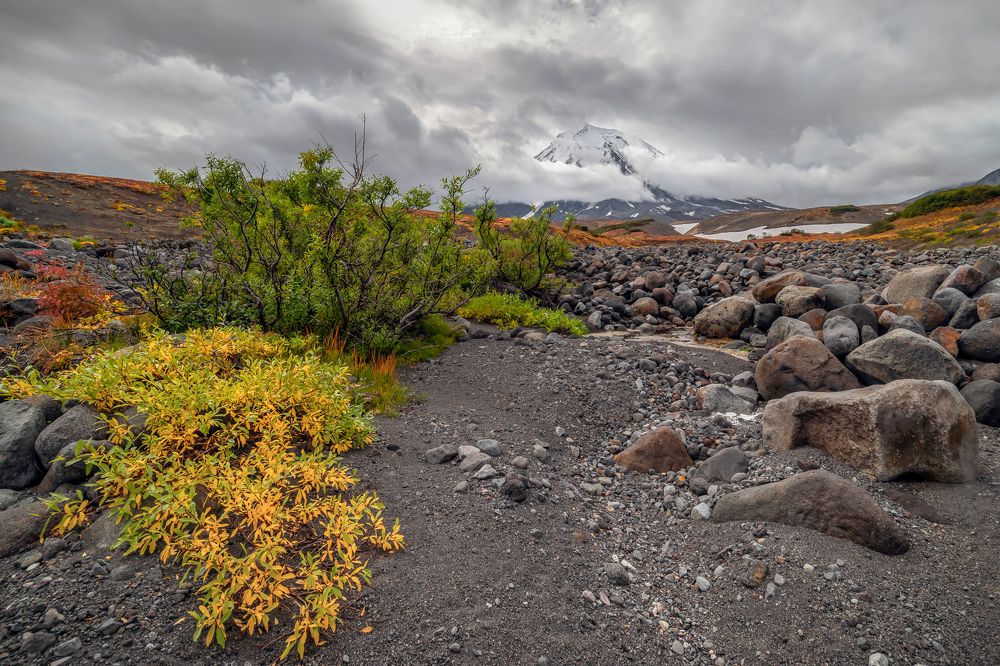 Photograph by Denis Zakalyapin