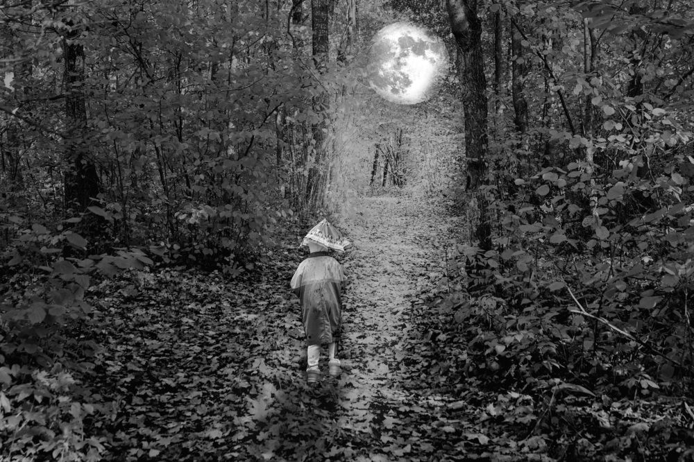 Фотография автора Рамиль Фаттахов