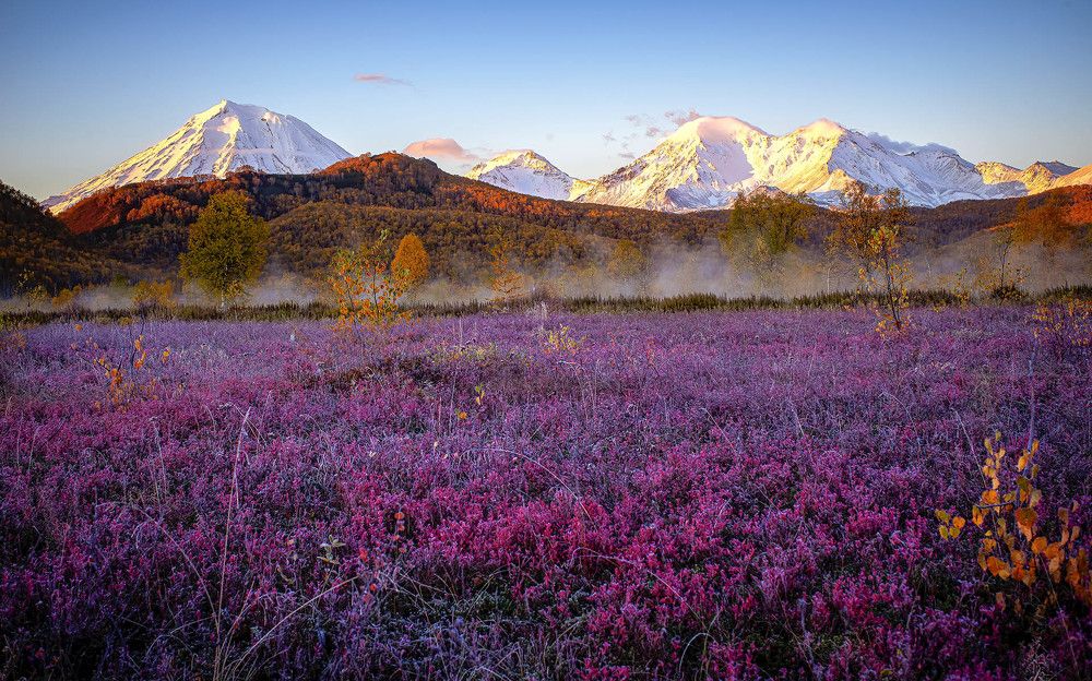 Photograph by Denis Zakalyapin