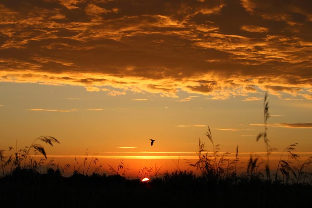 Photograph by Юлия Гаврильчик