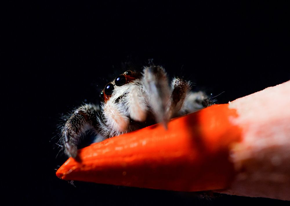 Photograph by Сервер Халилов