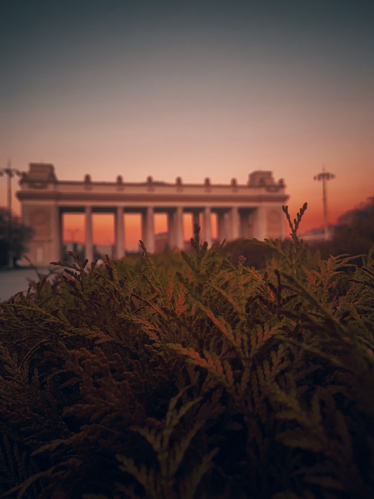 Photograph by Алексей Ластовский