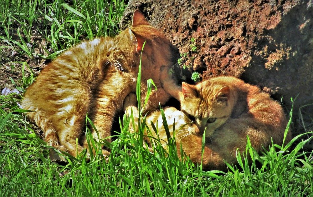 Уходи, я обиделась!