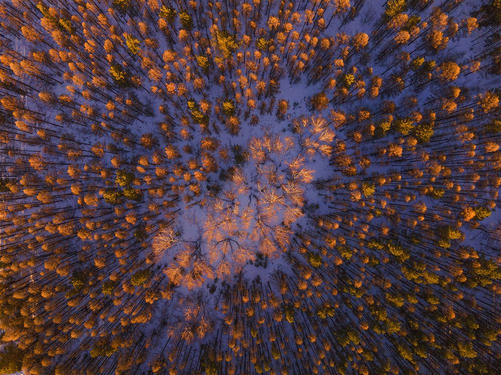 Photograph by Sokolova Tatiana