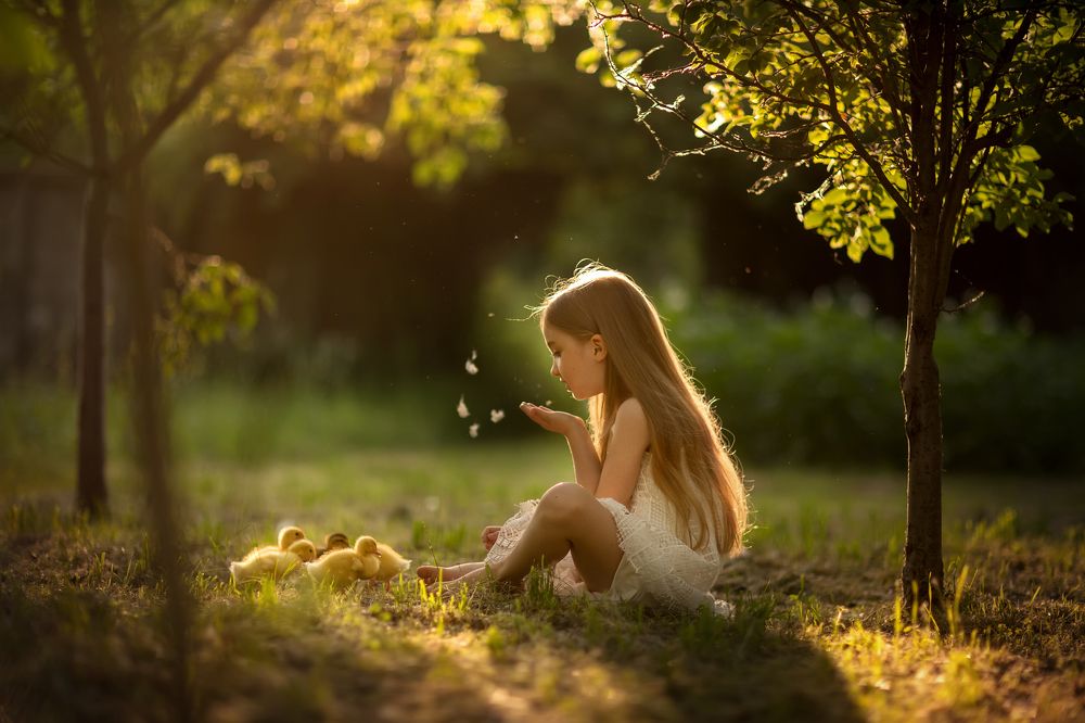 Photograph by Дарья Форшакова