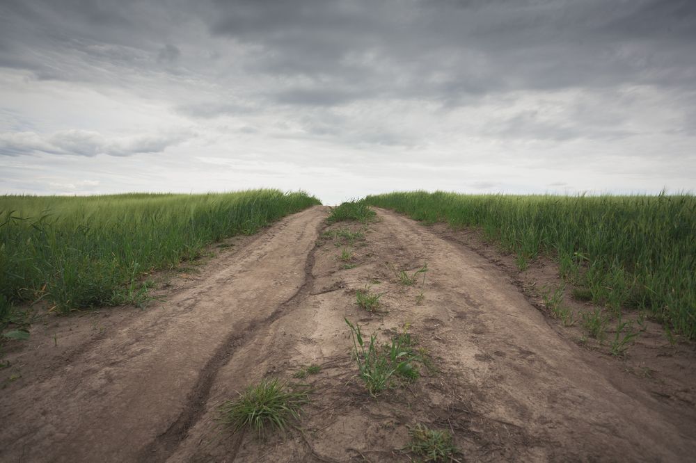 Фотография автора Владислав Марухин