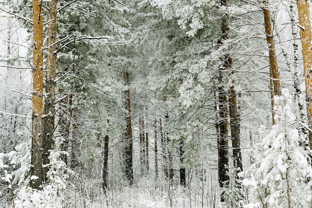 Фотография автора Рамиль Фаттахов
