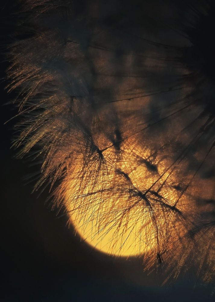 Photograph by Людмила Мельтишинова