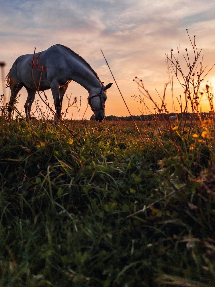 Photograph by Людмила Мельтишинова