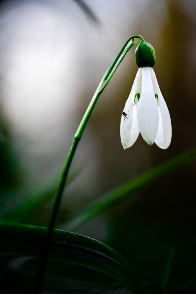 Фотография автора Алиса Чурчудесная