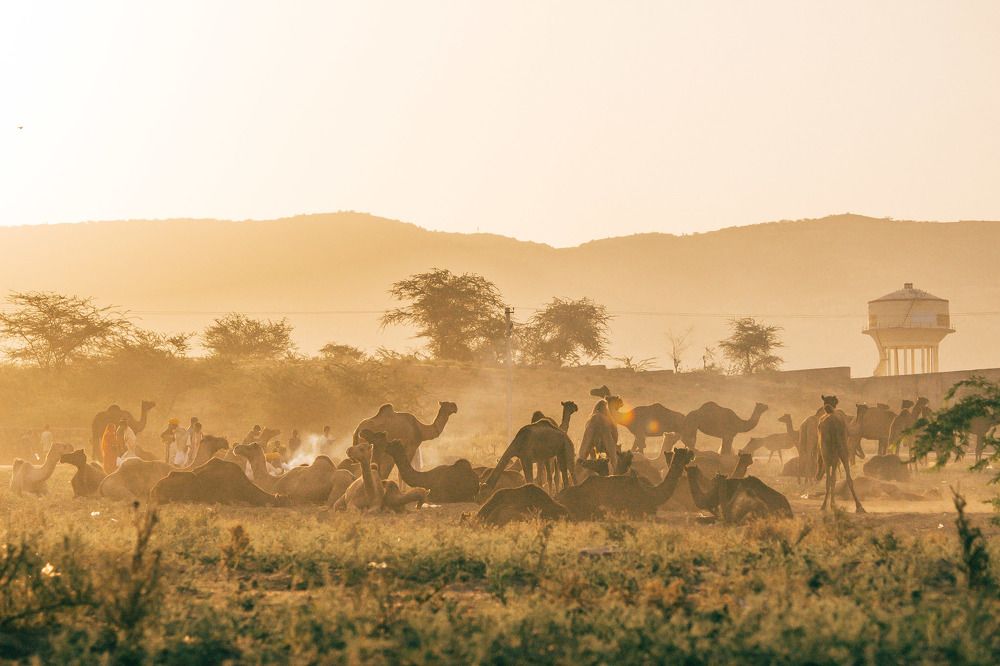 Photograph by Brijesh Dhobi