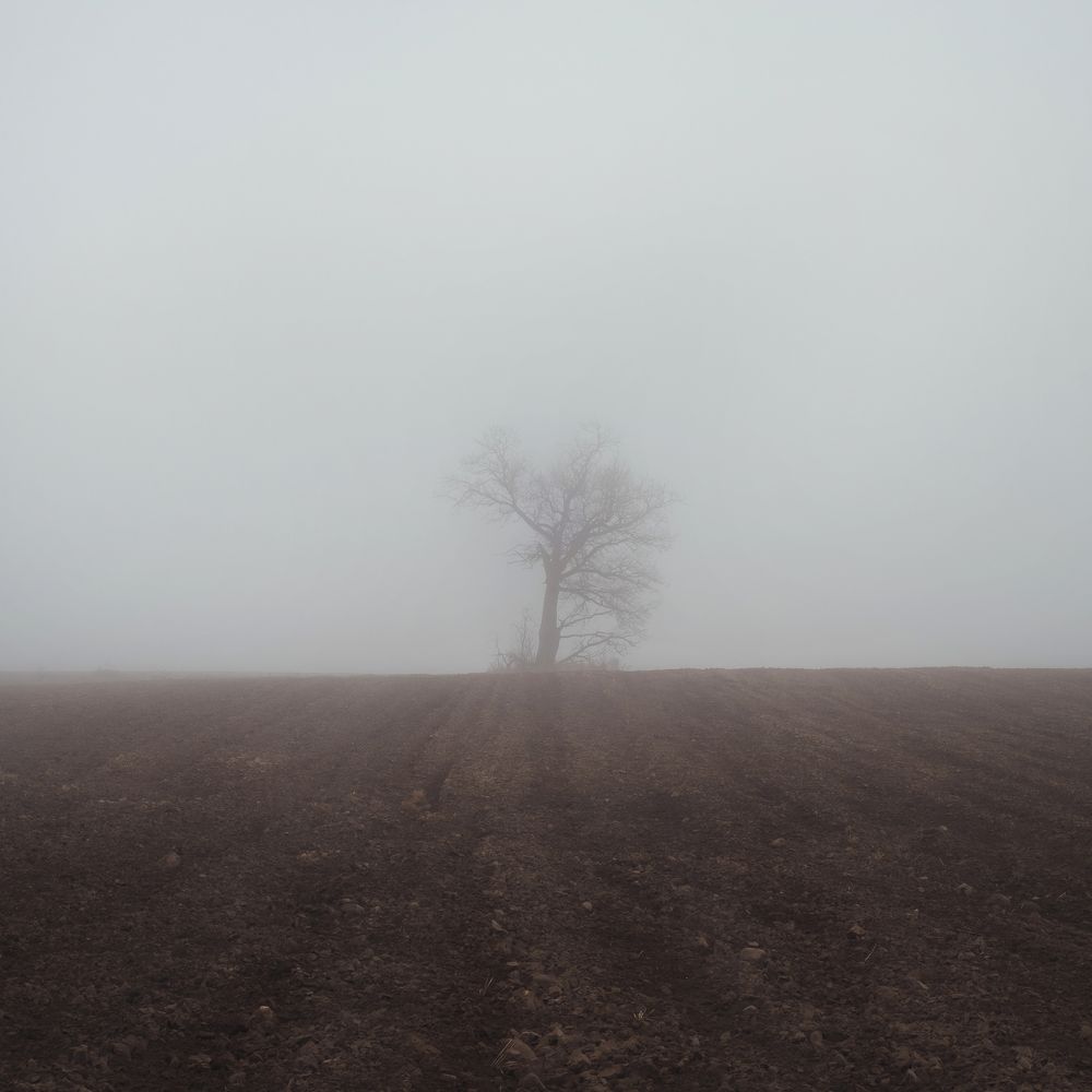 Photograph by Aliaksei Shandalin