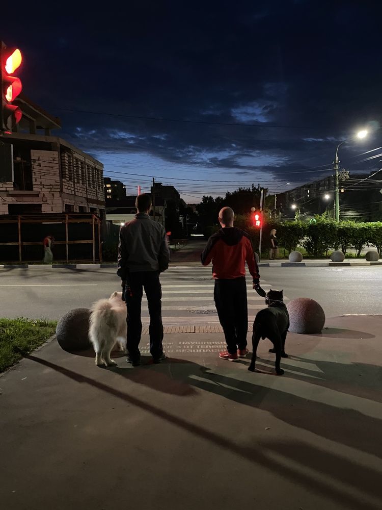 Photograph by Анна Лепихина