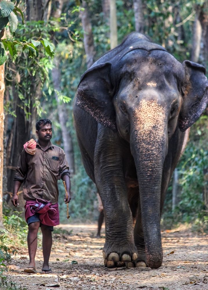 Фотография автора Pratik Chavan