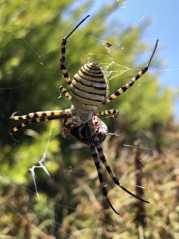 Photograph by Daniel Sharir