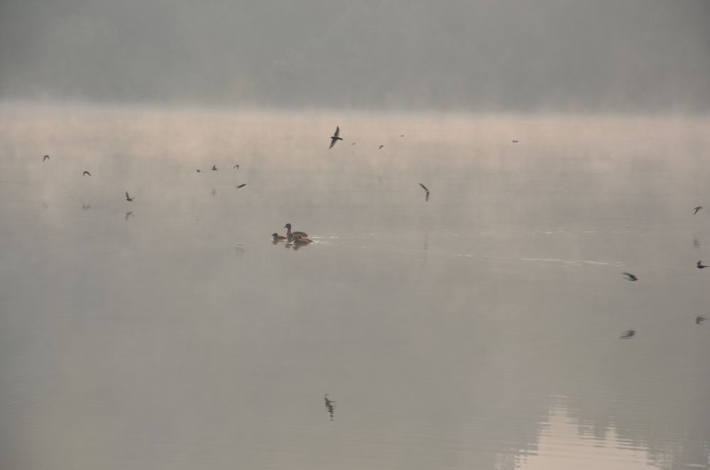 Photograph by Людмила Воропаева