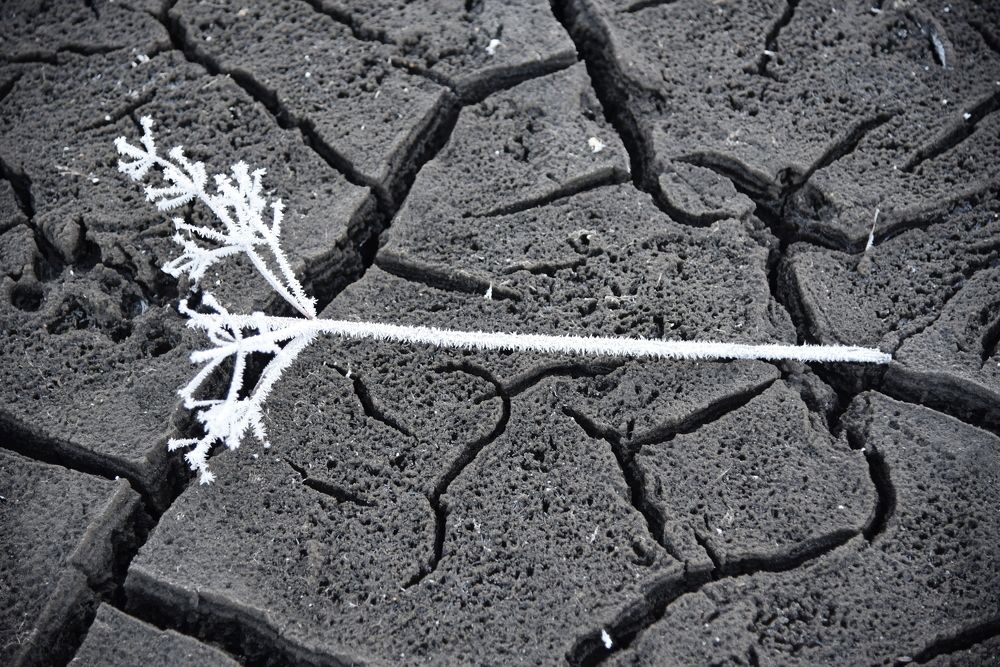 Photograph by Людмила Воропаева