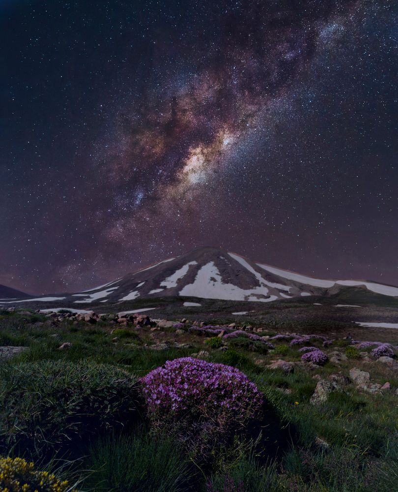 Photograph by aref tahmasbi