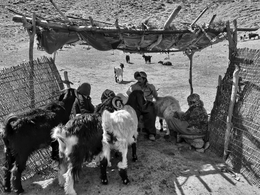 Photograph by Mohammadzaher Mohyadini