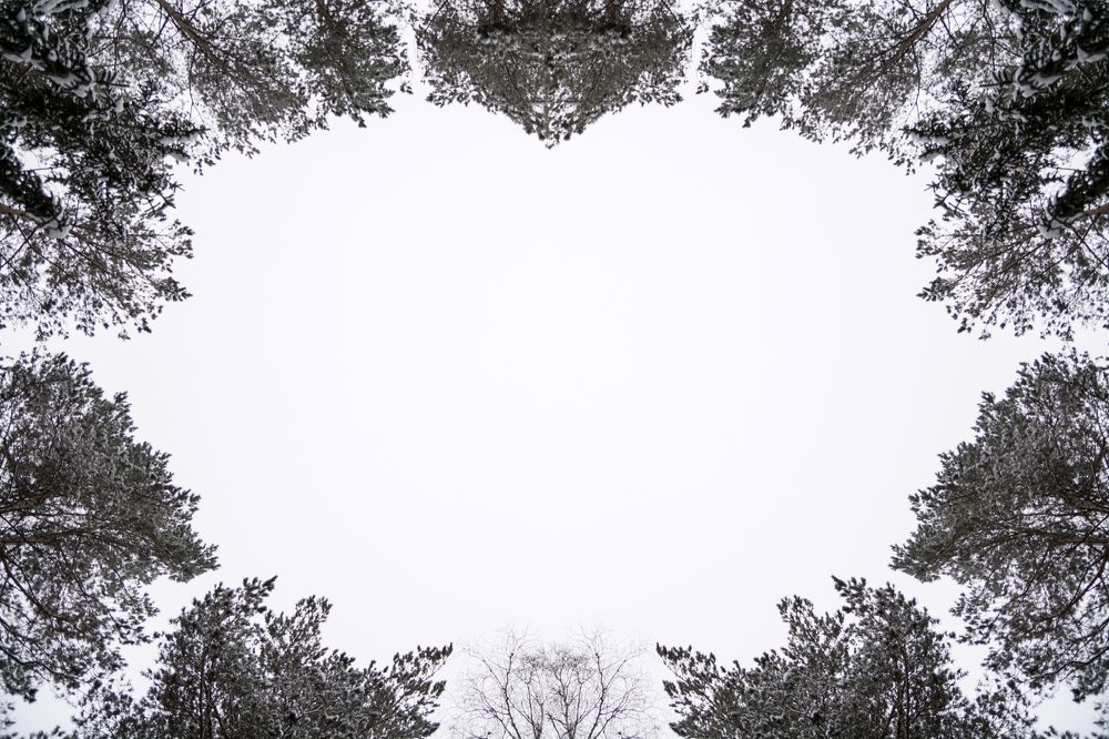 Photograph by Алеся Михайлова