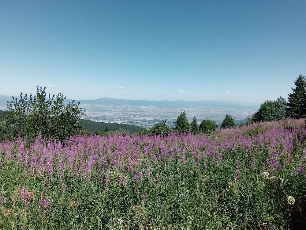 Vitosha mountain