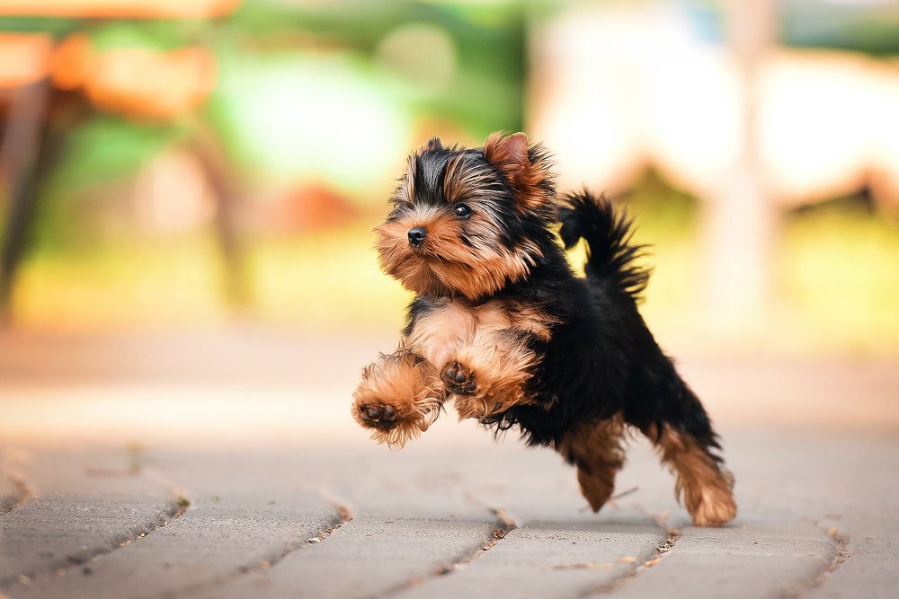 Photograph by Екатерина Коваленко