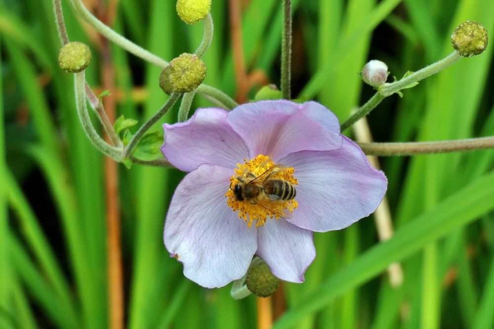 Photograph by backareva irina