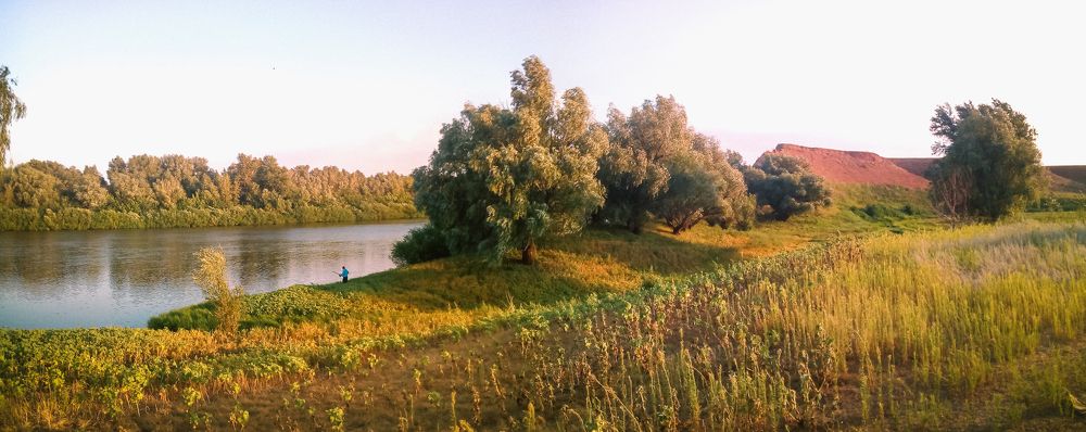 Photo #7275841
