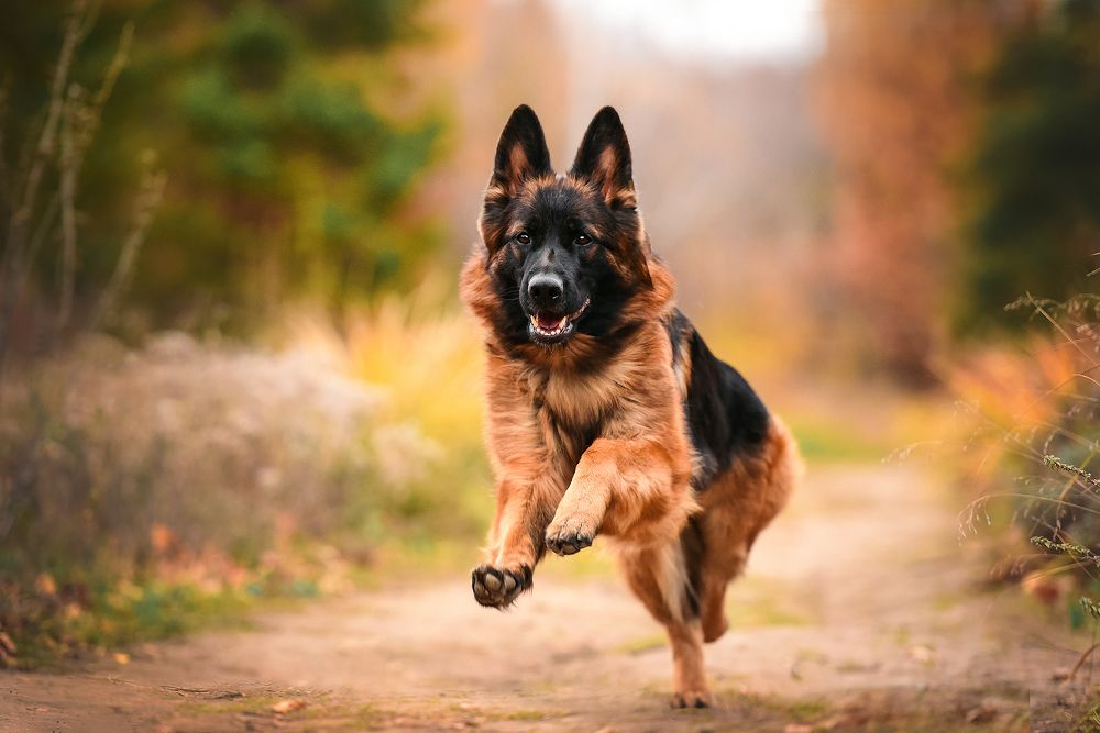 Photograph by Екатерина Коваленко