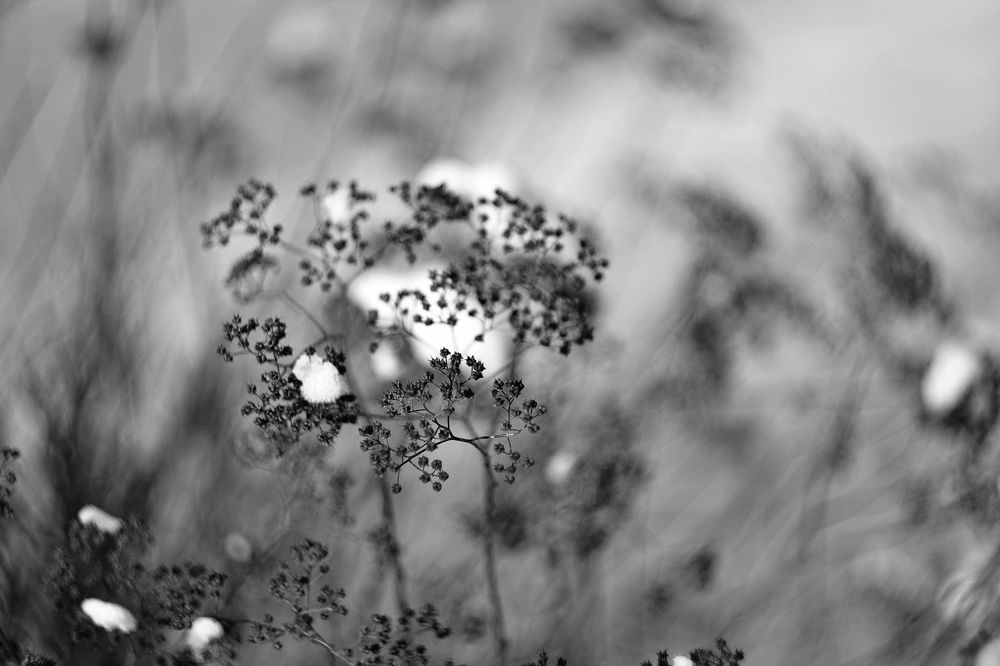 Photograph by Алеся