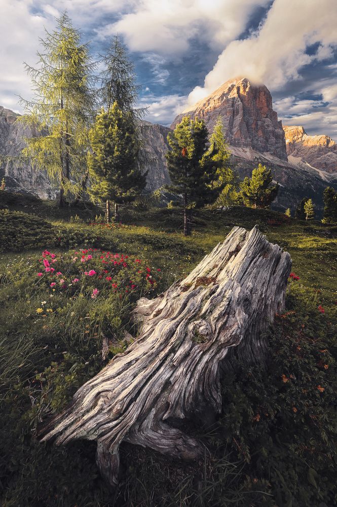 Photograph by Marco Carotenuto